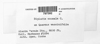 Image Associated With the Occurence